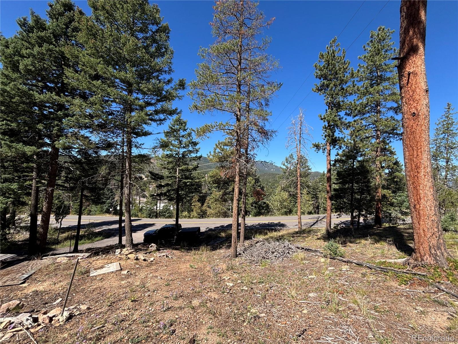 MLS Image #12 for 26460  pleasant park road,conifer, Colorado
