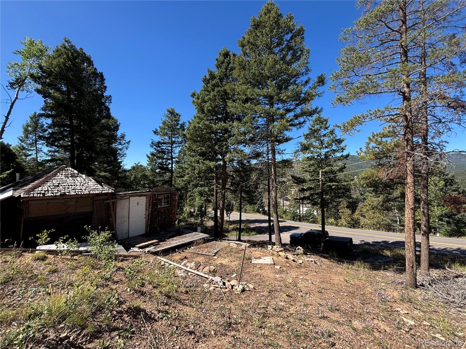 MLS Image #13 for 26460  pleasant park road,conifer, Colorado