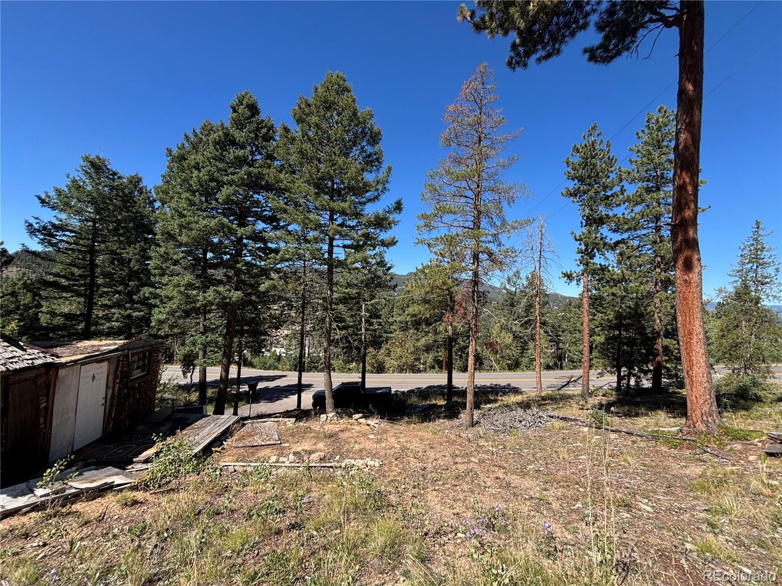 MLS Image #14 for 26460  pleasant park road,conifer, Colorado