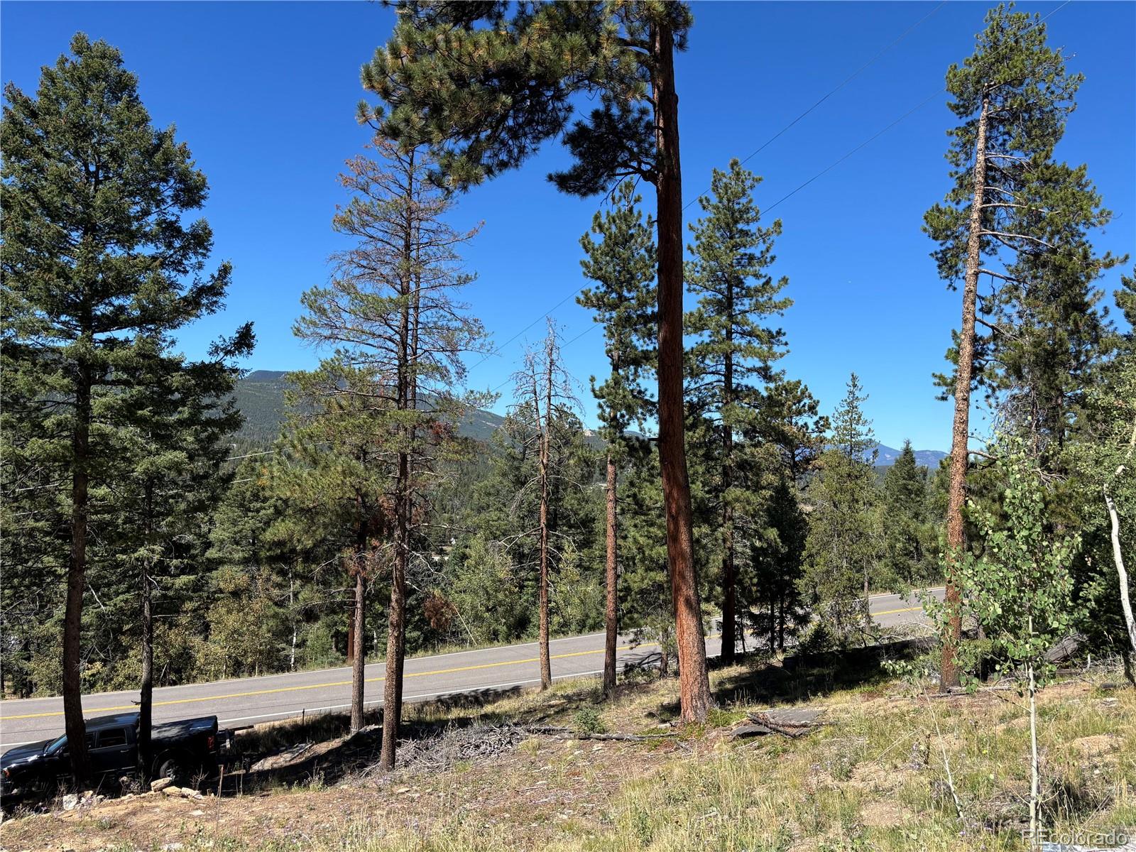 MLS Image #15 for 26460  pleasant park road,conifer, Colorado