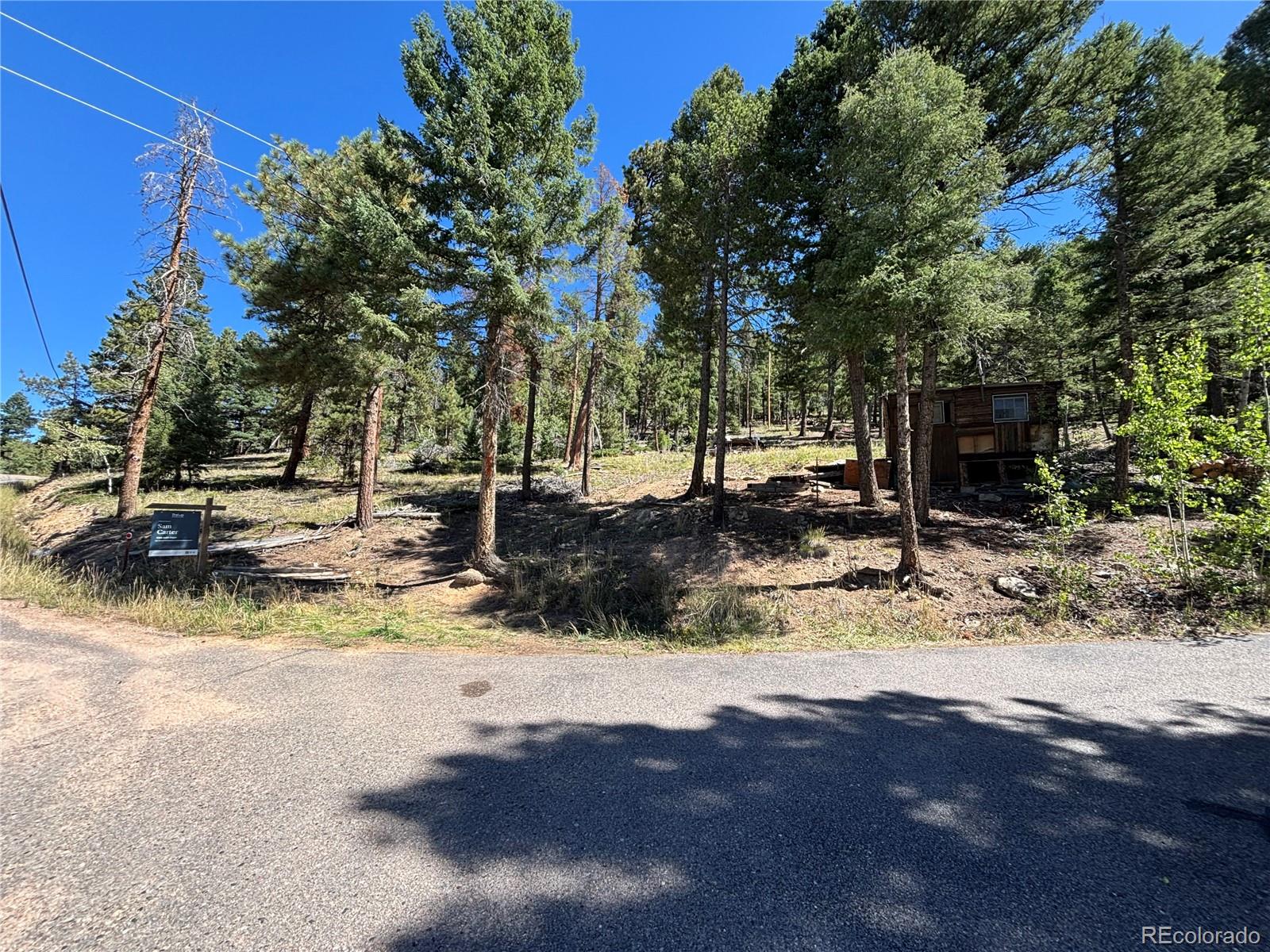 MLS Image #16 for 26460  pleasant park road,conifer, Colorado