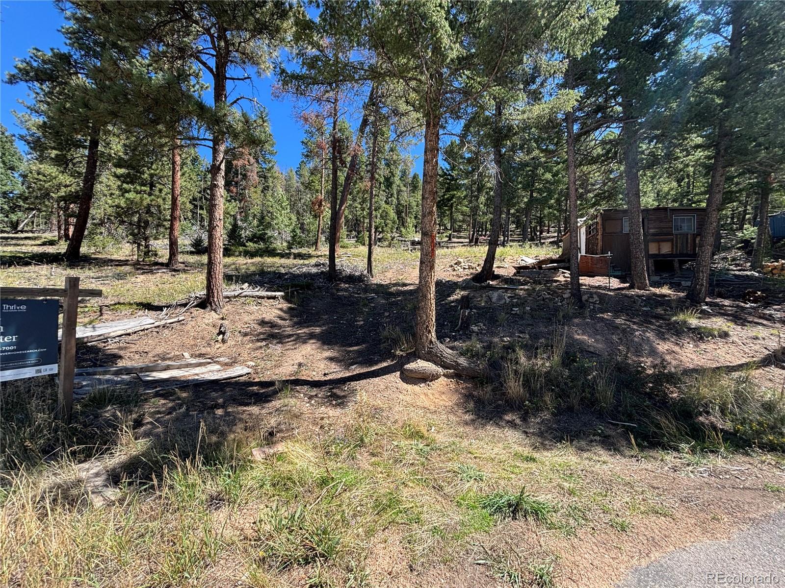 MLS Image #17 for 26460  pleasant park road,conifer, Colorado