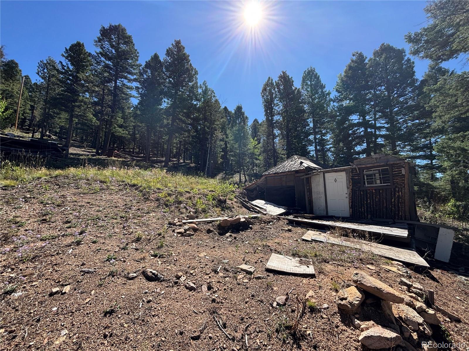 MLS Image #2 for 26460  pleasant park road,conifer, Colorado