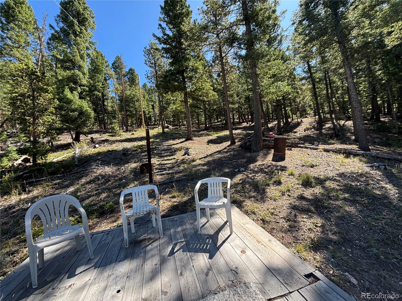 MLS Image #3 for 26460  pleasant park road,conifer, Colorado