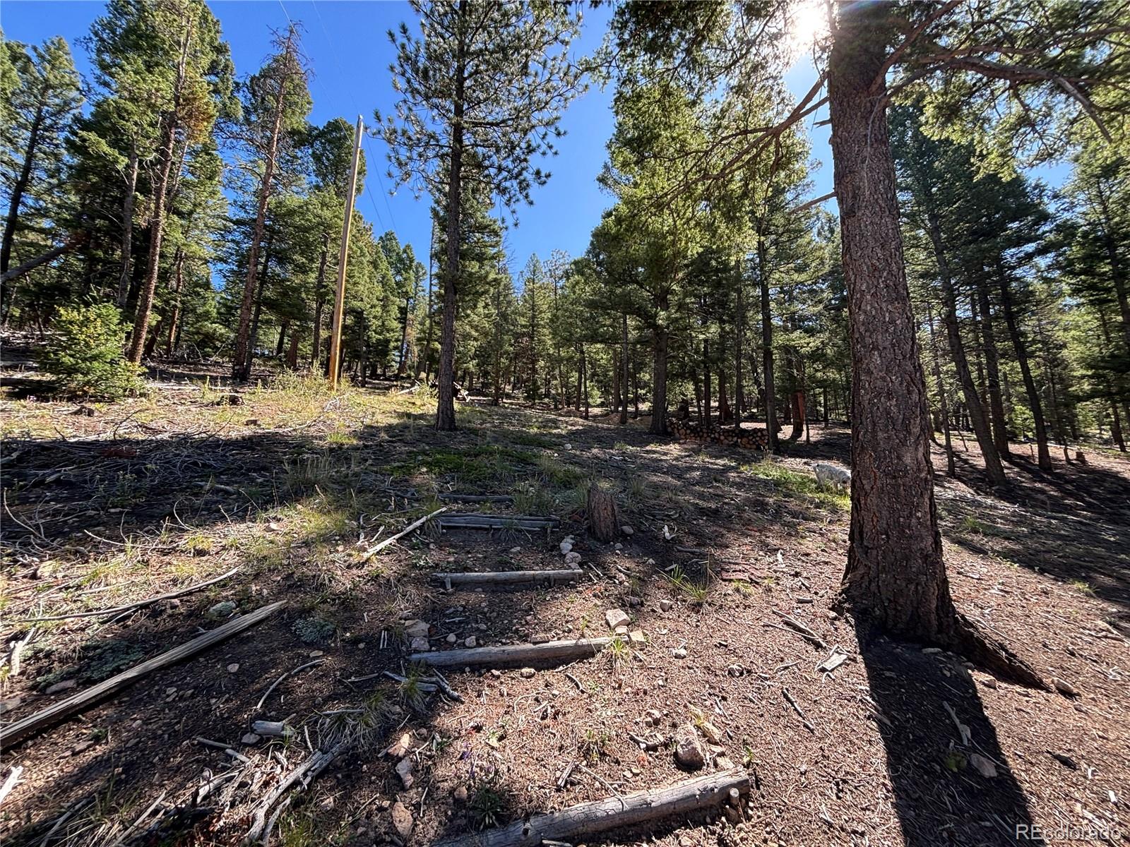 MLS Image #4 for 26460  pleasant park road,conifer, Colorado