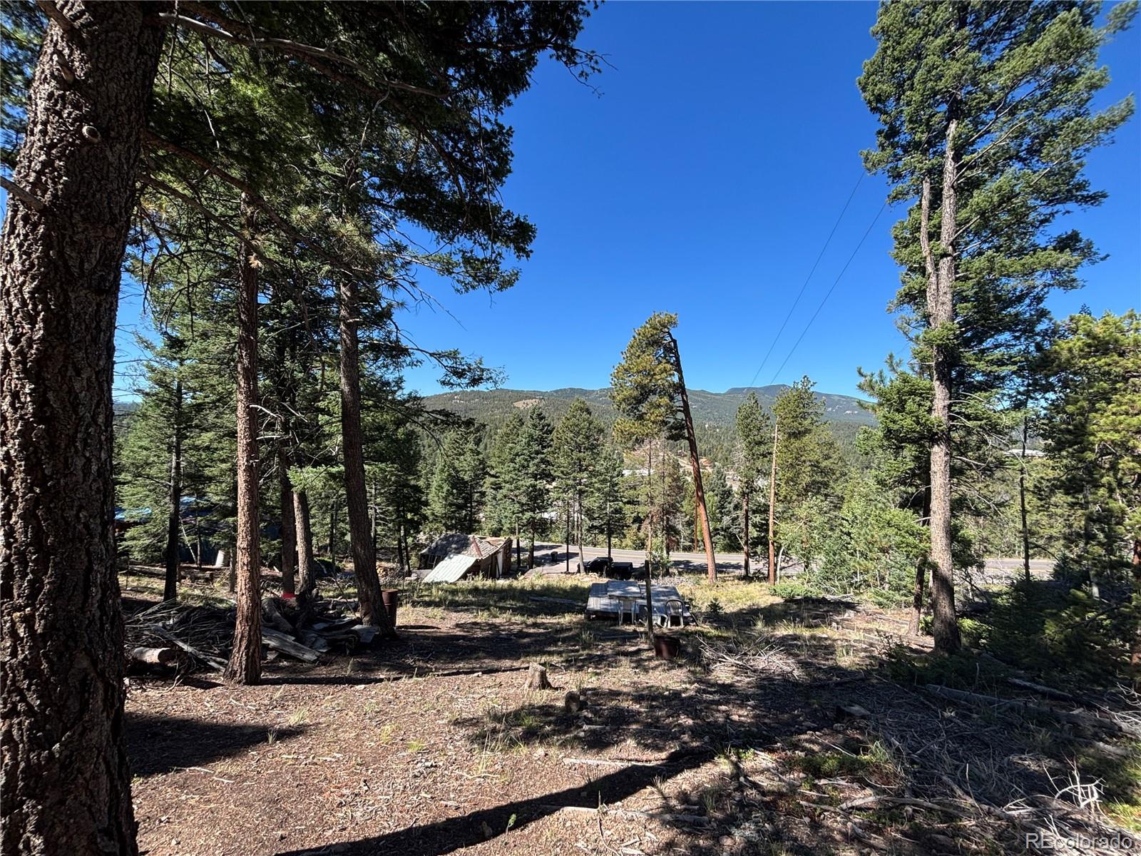 MLS Image #5 for 26460  pleasant park road,conifer, Colorado
