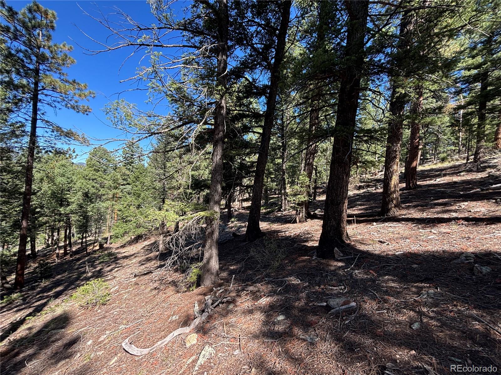 MLS Image #7 for 26460  pleasant park road,conifer, Colorado