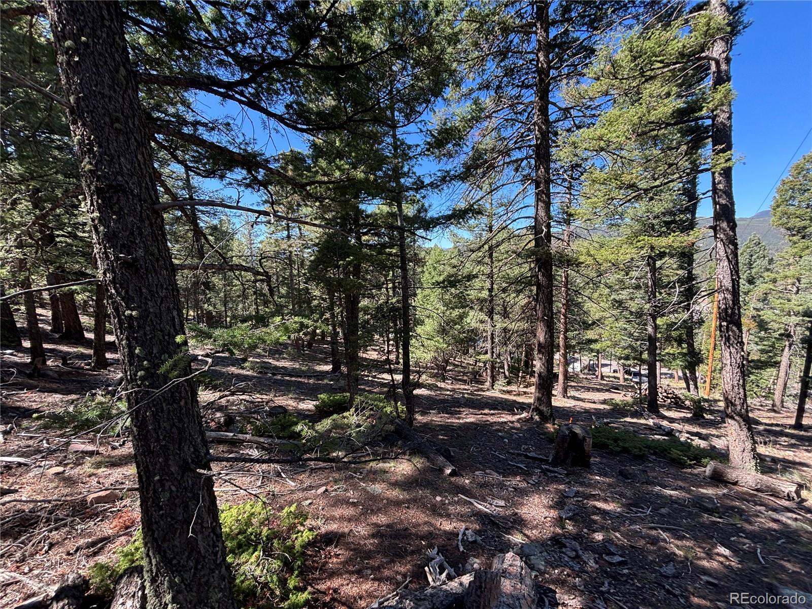 MLS Image #8 for 26460  pleasant park road,conifer, Colorado