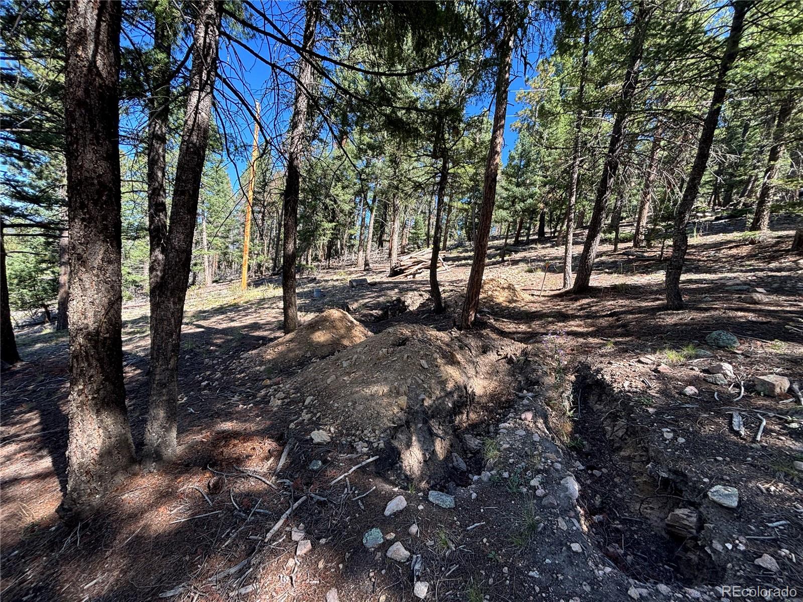 MLS Image #9 for 26460  pleasant park road,conifer, Colorado