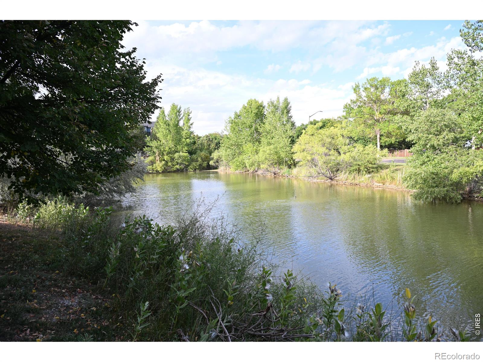 MLS Image #36 for 5220  boardwalk drive,fort collins, Colorado
