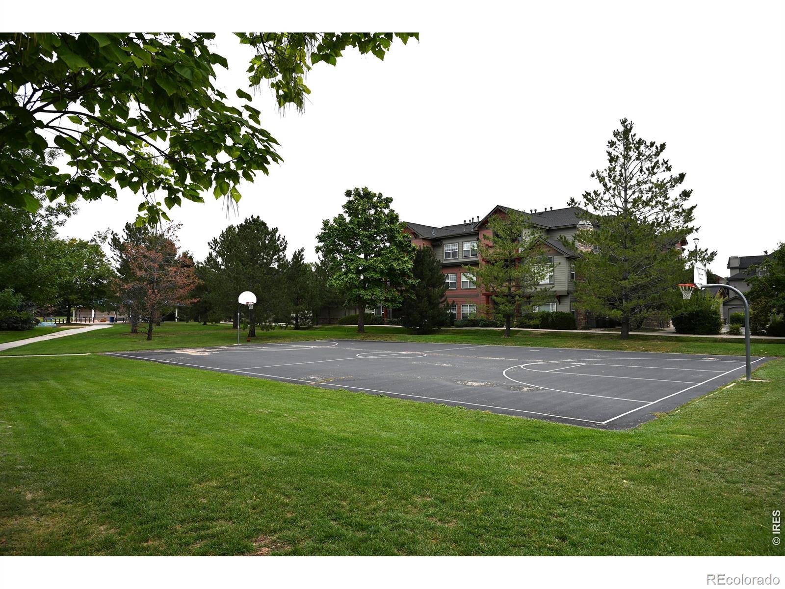 MLS Image #41 for 5220  boardwalk drive,fort collins, Colorado