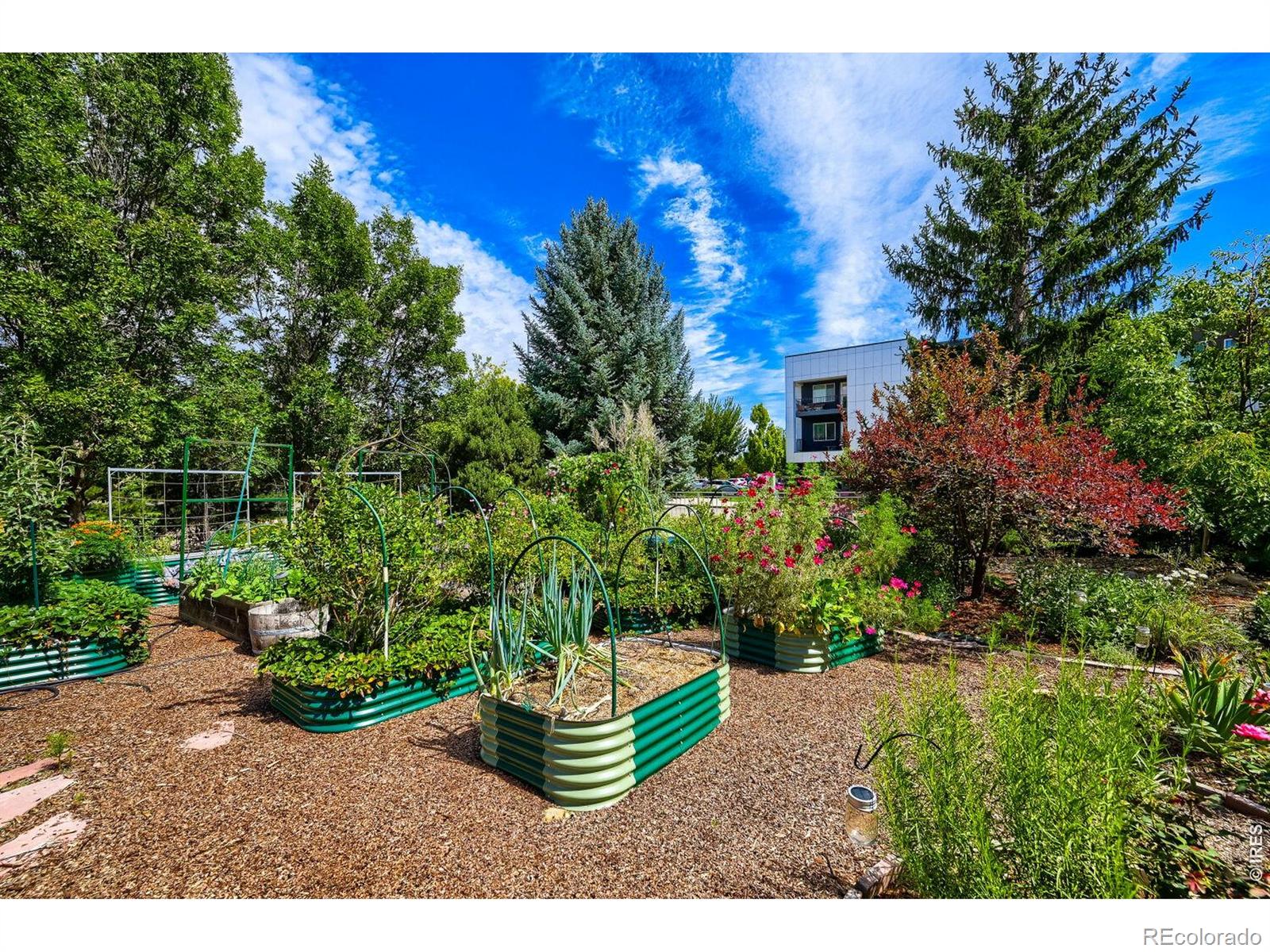 MLS Image #35 for 1412  venice lane,longmont, Colorado