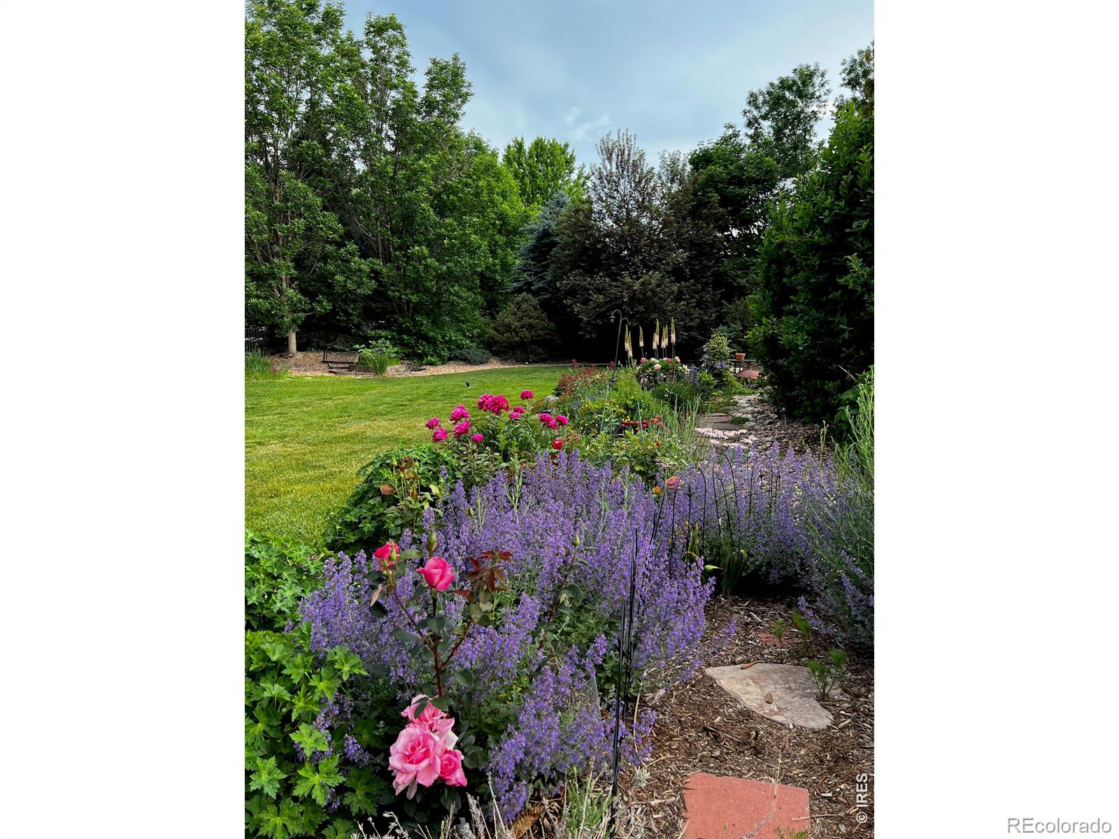 MLS Image #36 for 1412  venice lane,longmont, Colorado