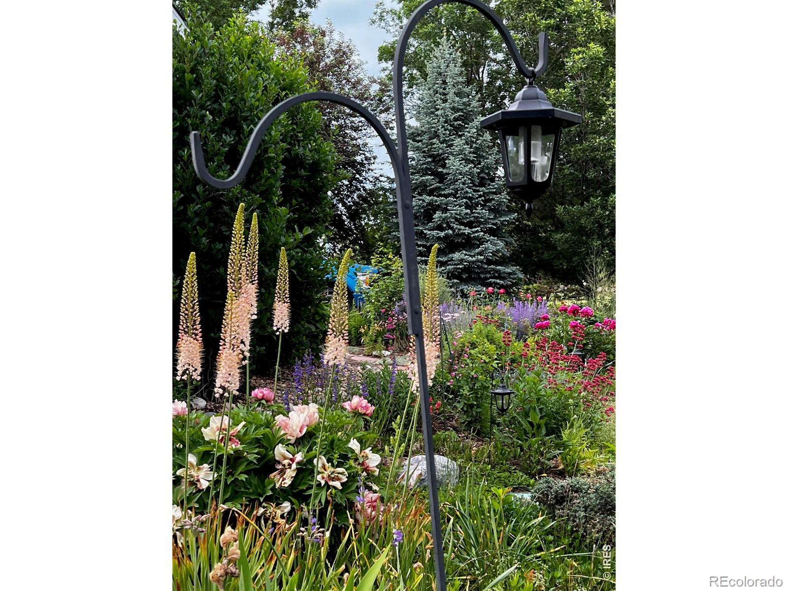 MLS Image #42 for 1412  venice lane,longmont, Colorado