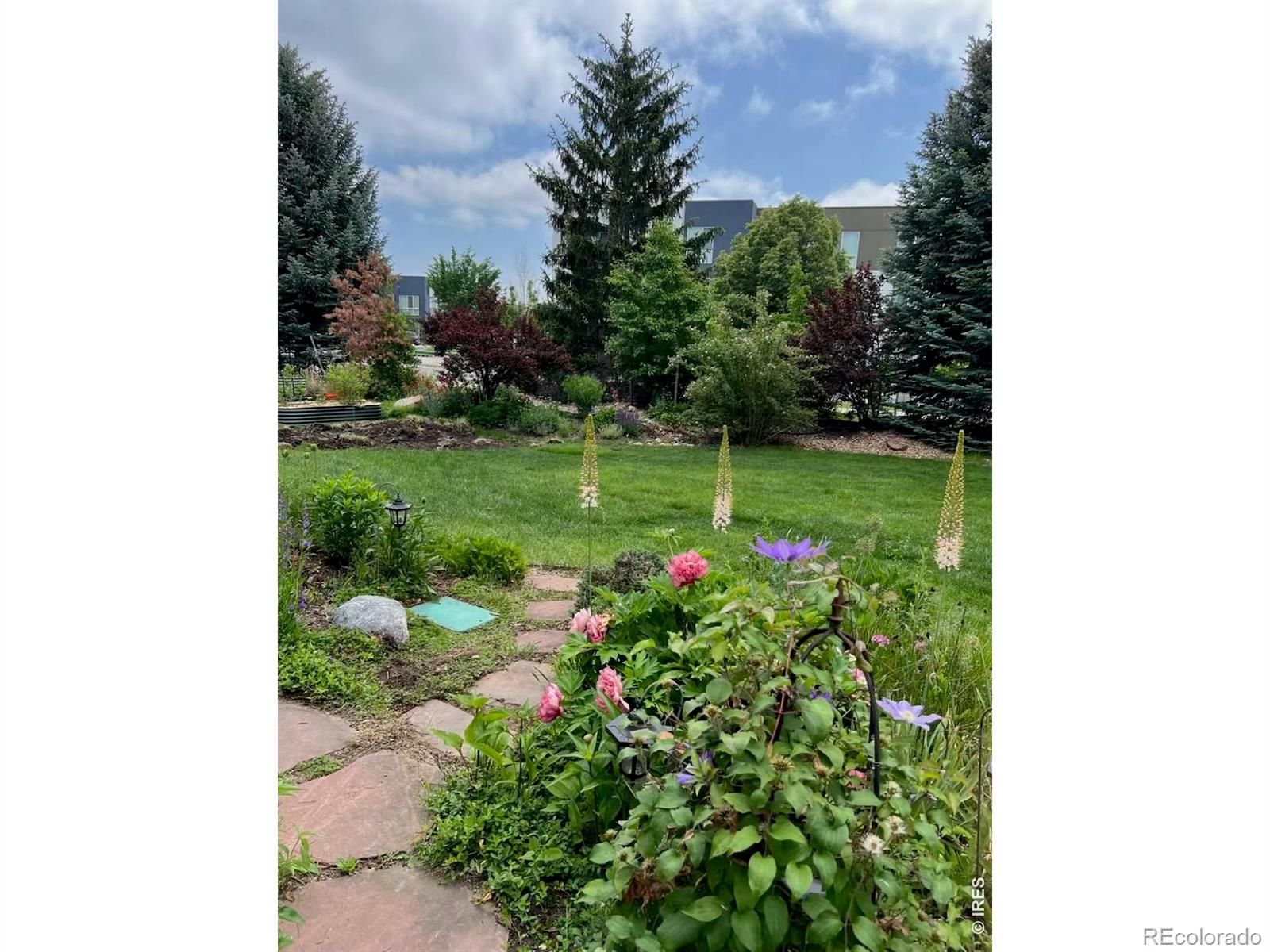MLS Image #45 for 1412  venice lane,longmont, Colorado