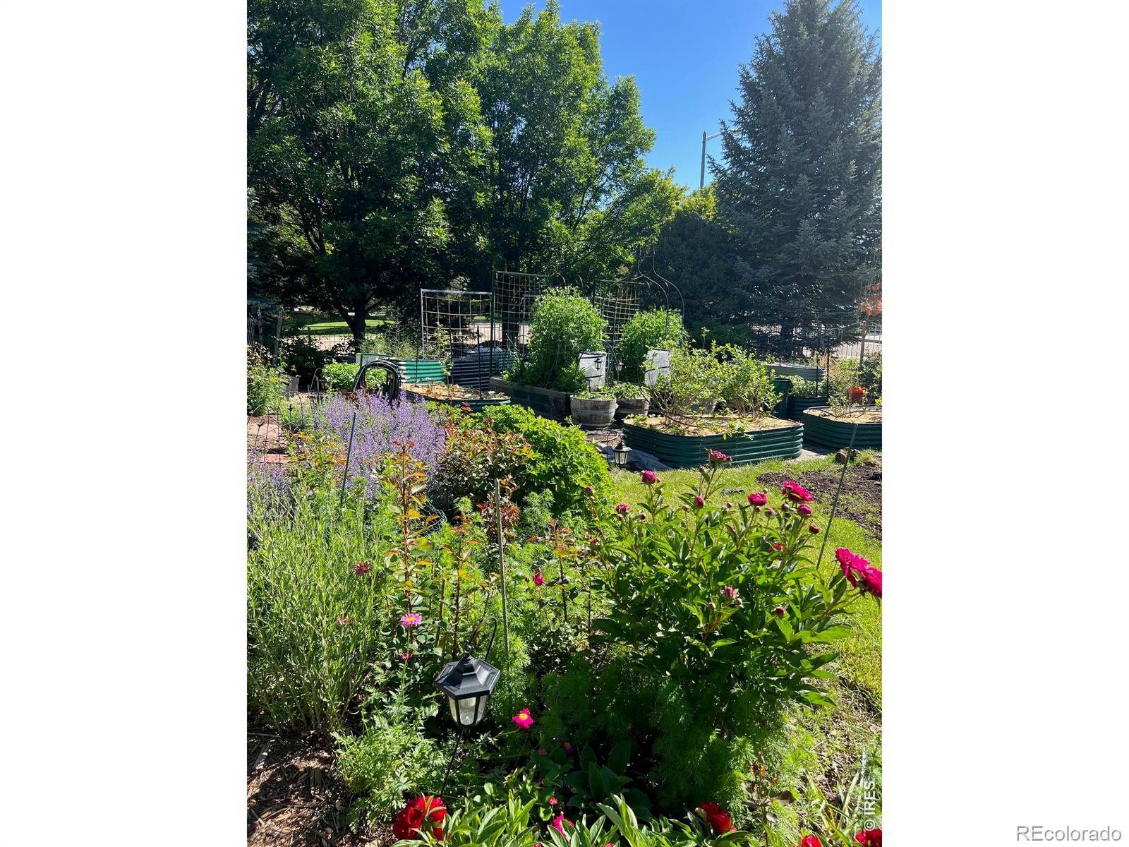 MLS Image #47 for 1412  venice lane,longmont, Colorado