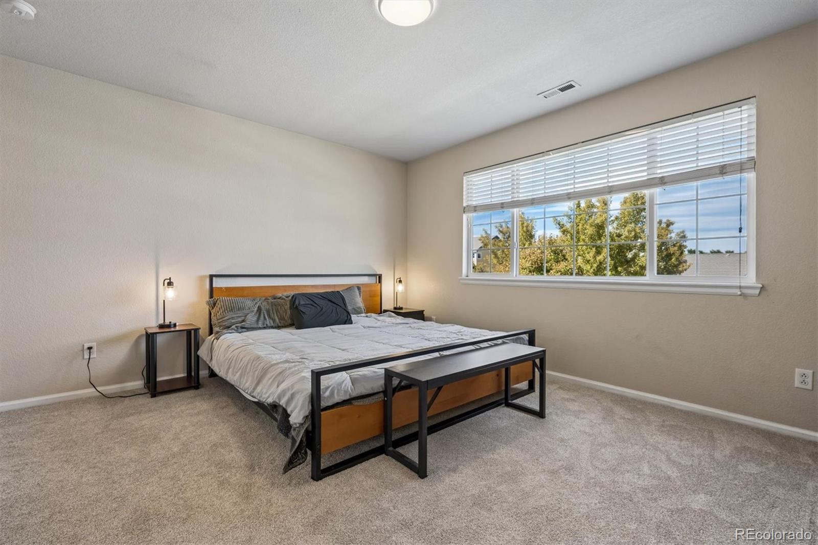 MLS Image #15 for 16034 e 97th avenue,commerce city, Colorado