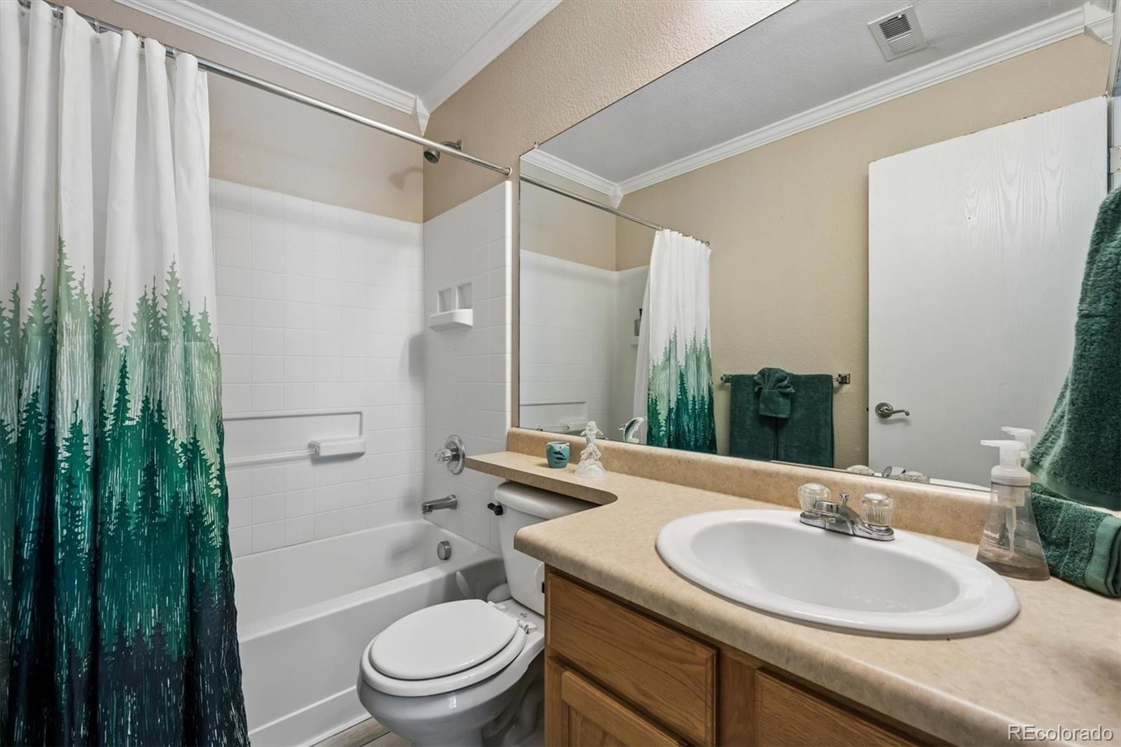 MLS Image #21 for 16034 e 97th avenue,commerce city, Colorado