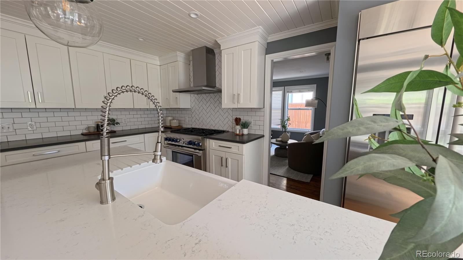 MLS Image #7 for 2424 s columbine street,denver, Colorado
