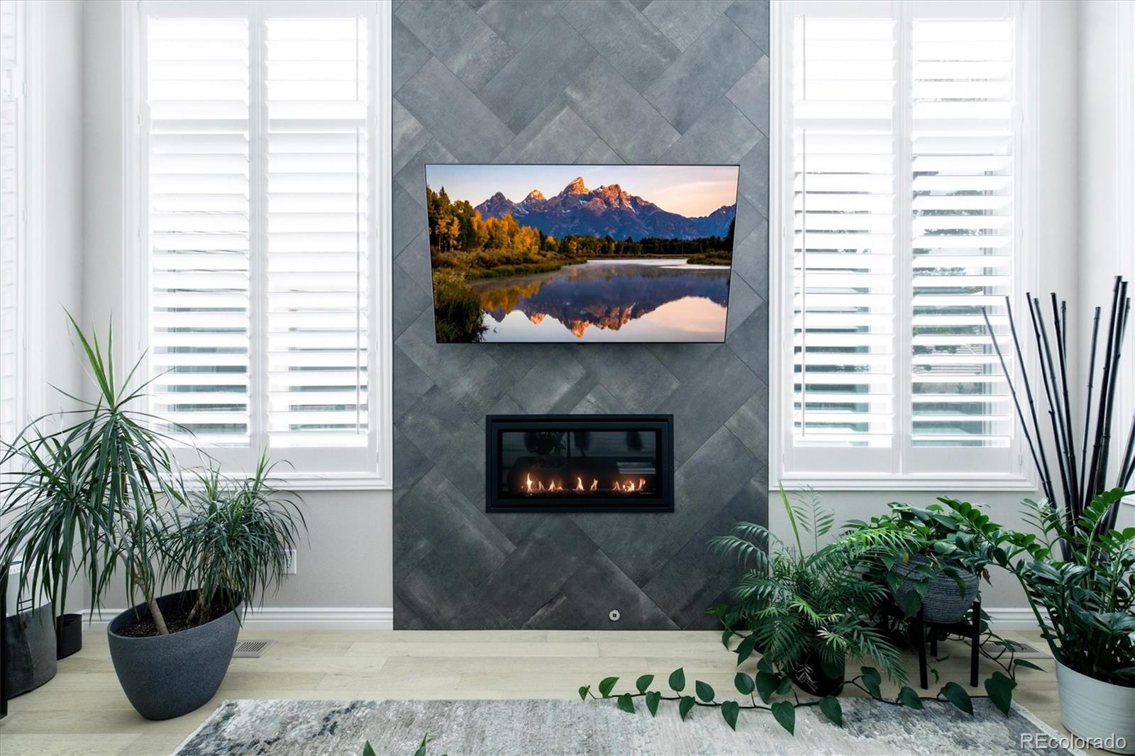 MLS Image #6 for 135  silver fox court,greenwood village, Colorado