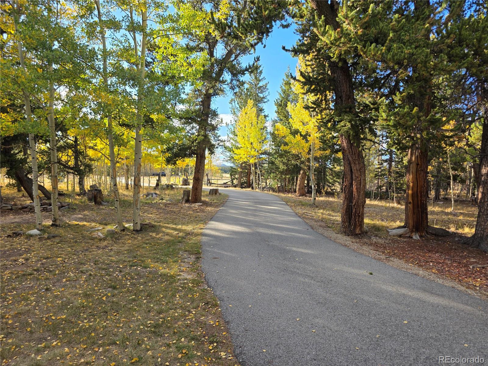 MLS Image #25 for 622  foxtail drive,fairplay, Colorado