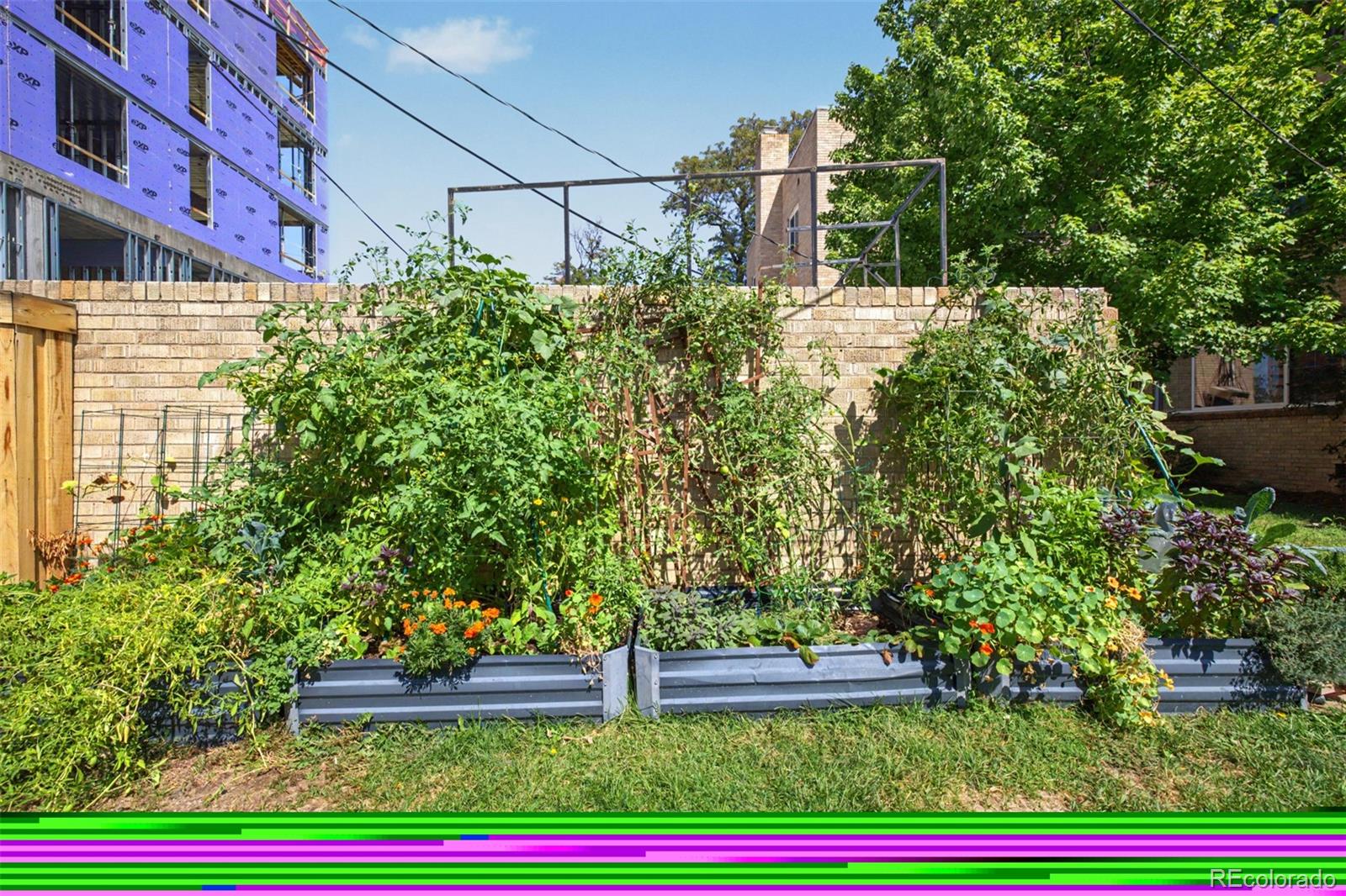 MLS Image #33 for 85 n ogden street,denver, Colorado