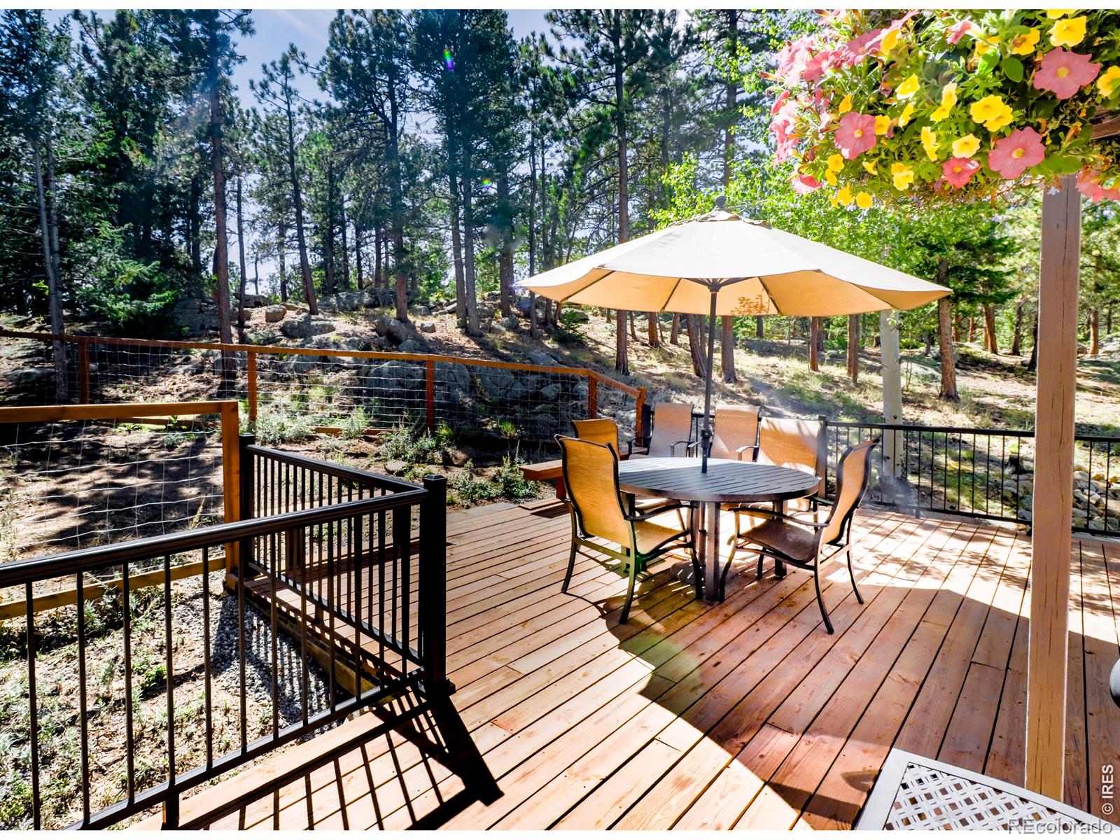 MLS Image #2 for 22  crockett trail,ward, Colorado