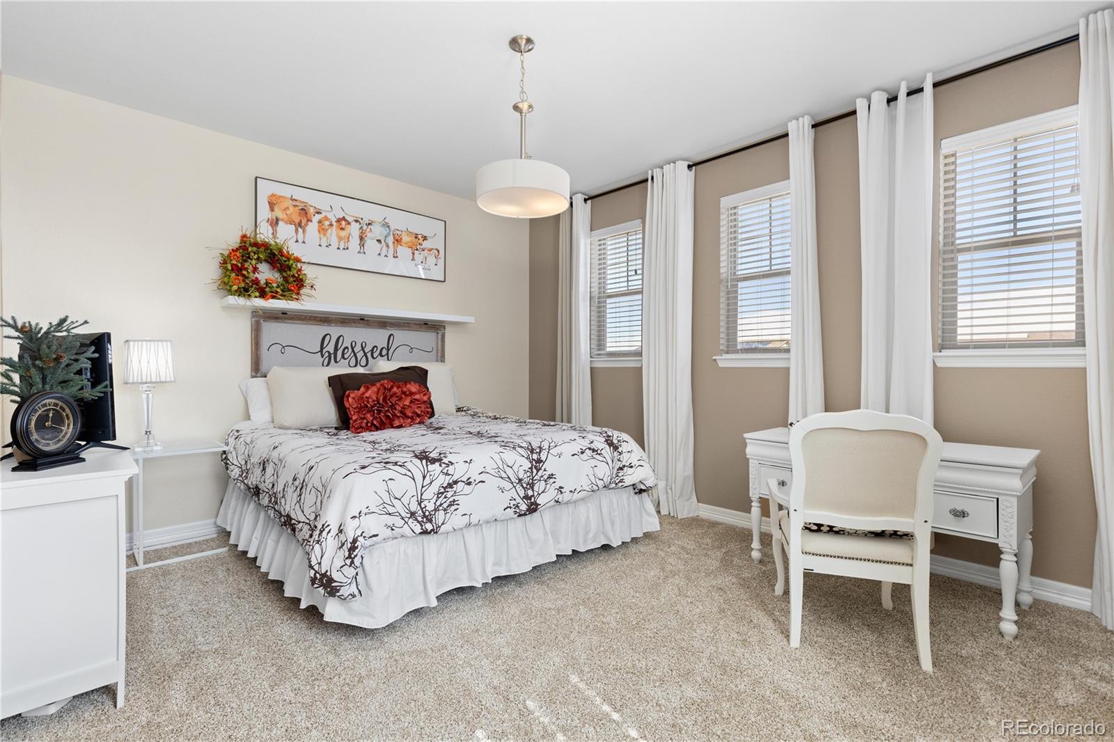 MLS Image #22 for 9519  nile way,arvada, Colorado
