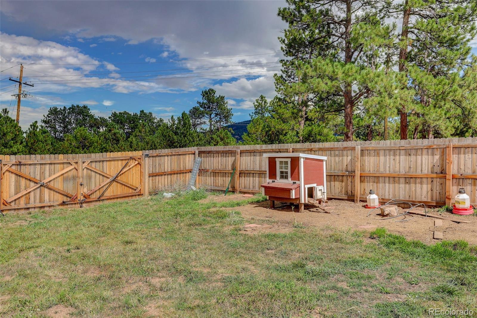 MLS Image #16 for 28384  tresine drive,evergreen, Colorado