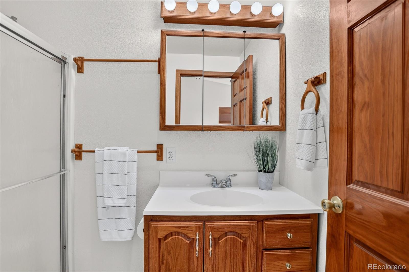 MLS Image #27 for 28384  tresine drive,evergreen, Colorado