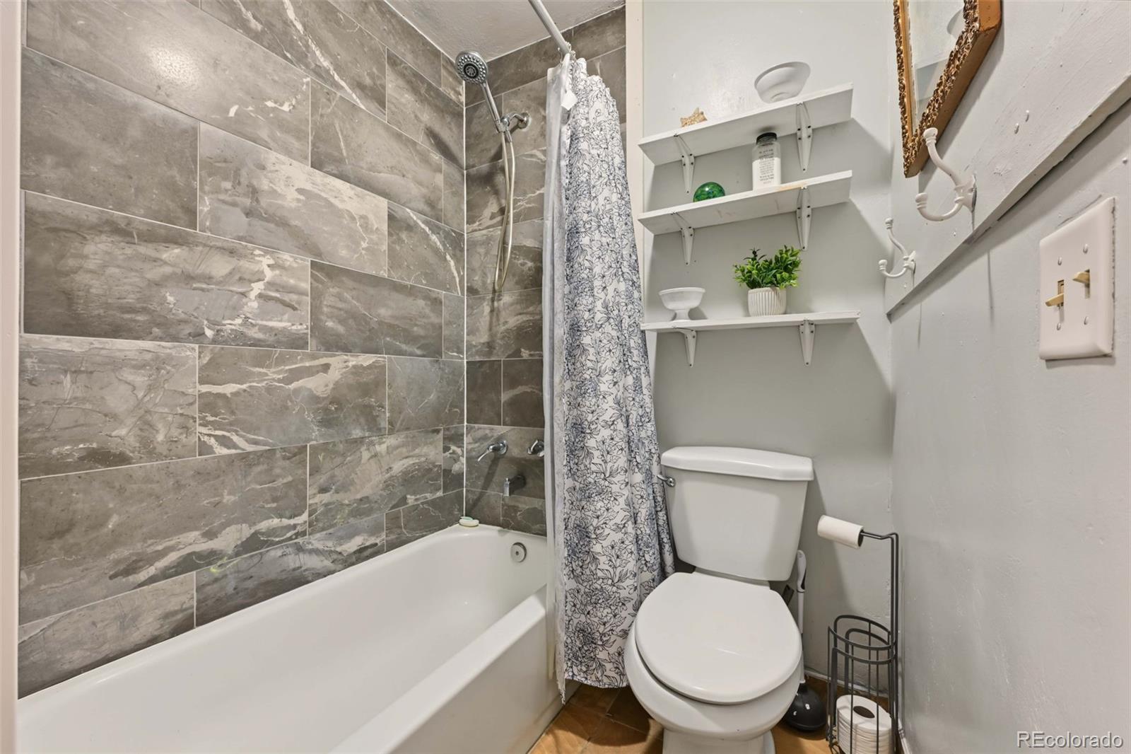 MLS Image #21 for 1817  silver eagle court,leadville, Colorado
