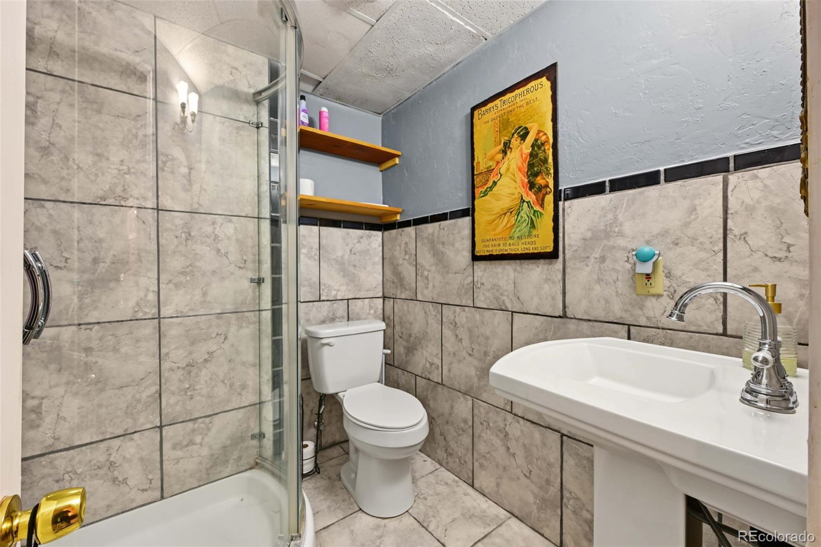 MLS Image #31 for 1817  silver eagle court,leadville, Colorado