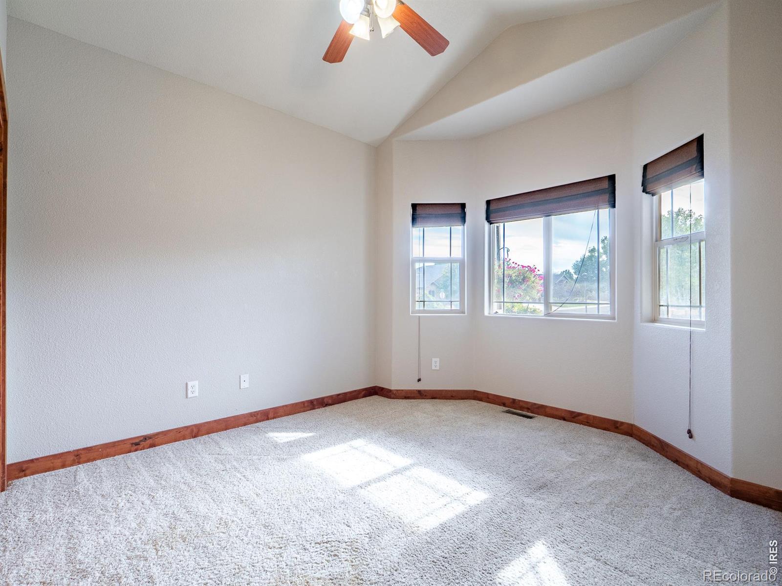 MLS Image #16 for 4890  avon avenue,loveland, Colorado