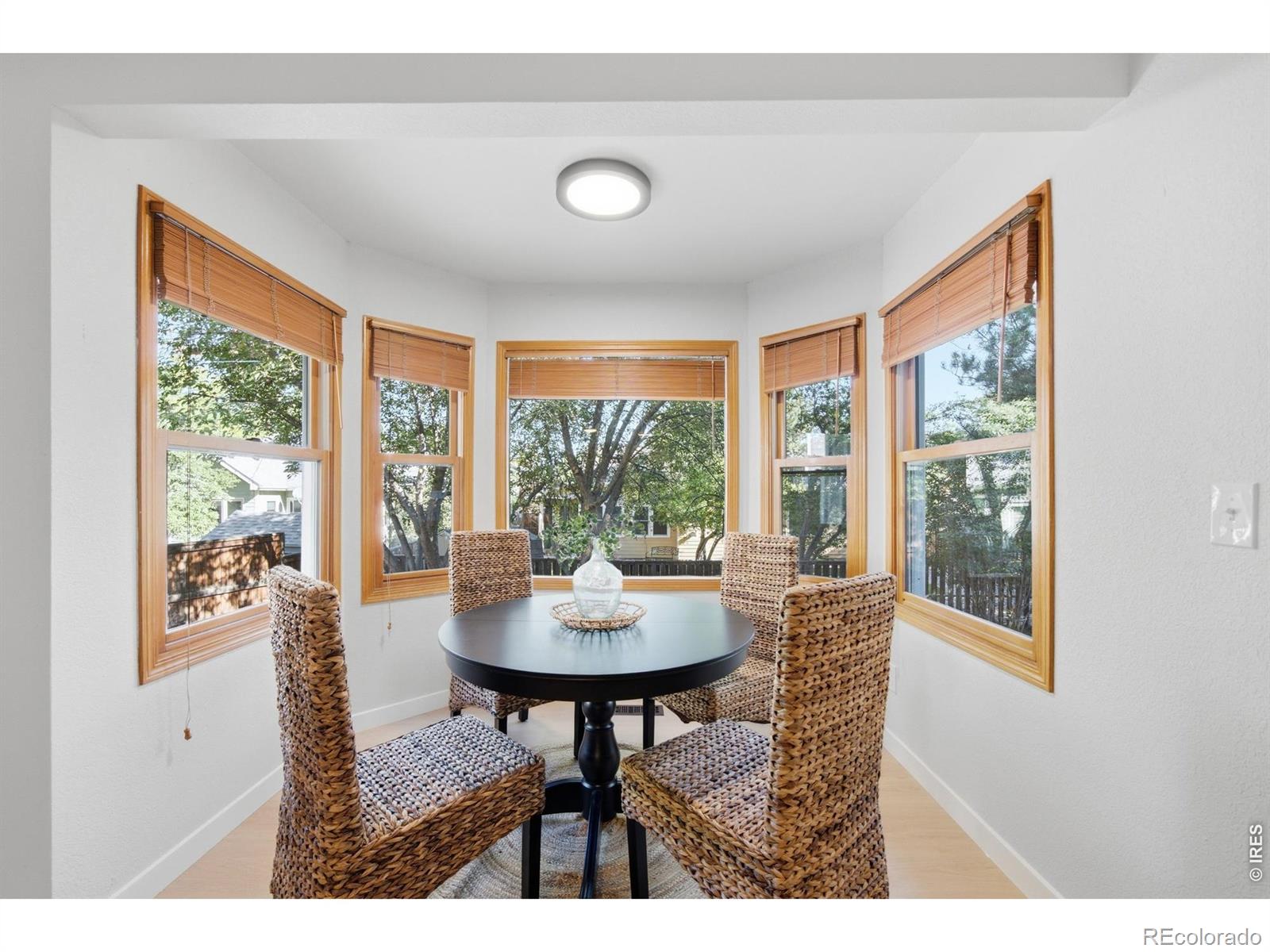 MLS Image #13 for 1318  sanford drive,fort collins, Colorado
