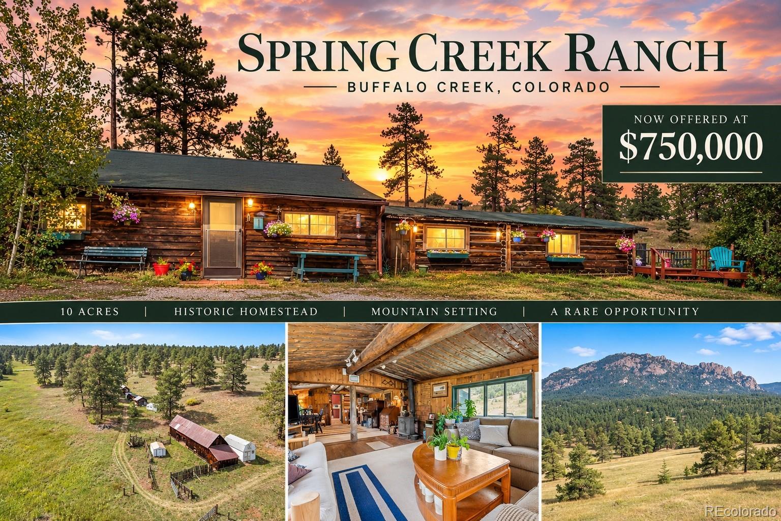MLS Image #0 for 21555  spring creek road,buffalo creek, Colorado