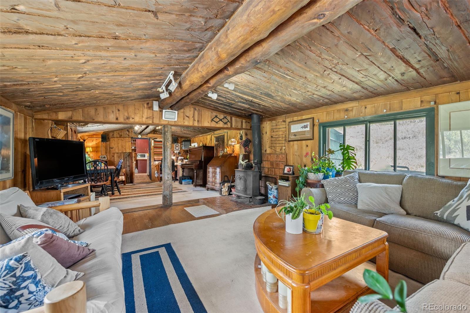 MLS Image #10 for 21555  spring creek road,buffalo creek, Colorado