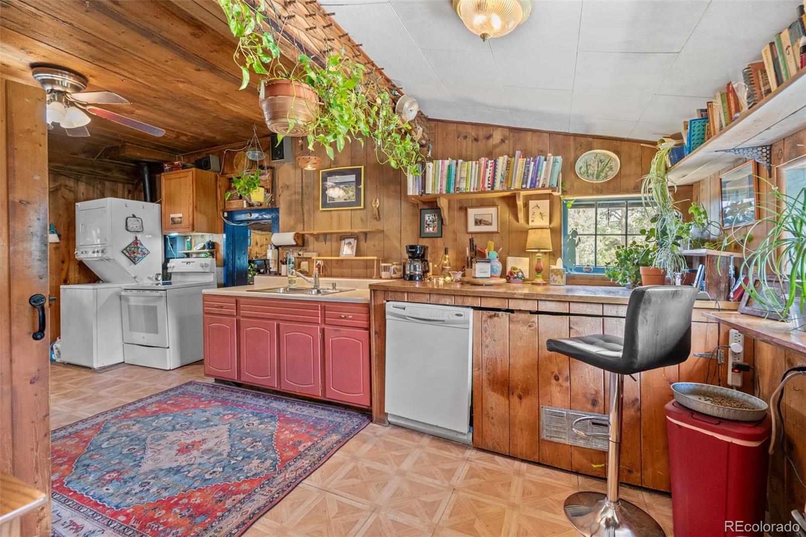 MLS Image #11 for 21555  spring creek road,buffalo creek, Colorado
