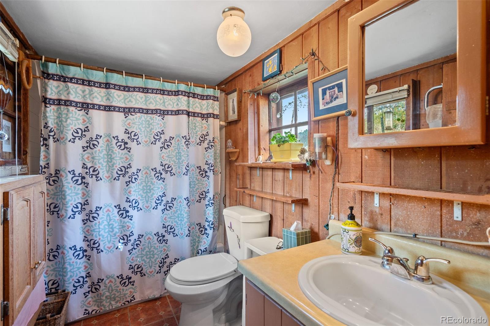 MLS Image #16 for 21555  spring creek road,buffalo creek, Colorado