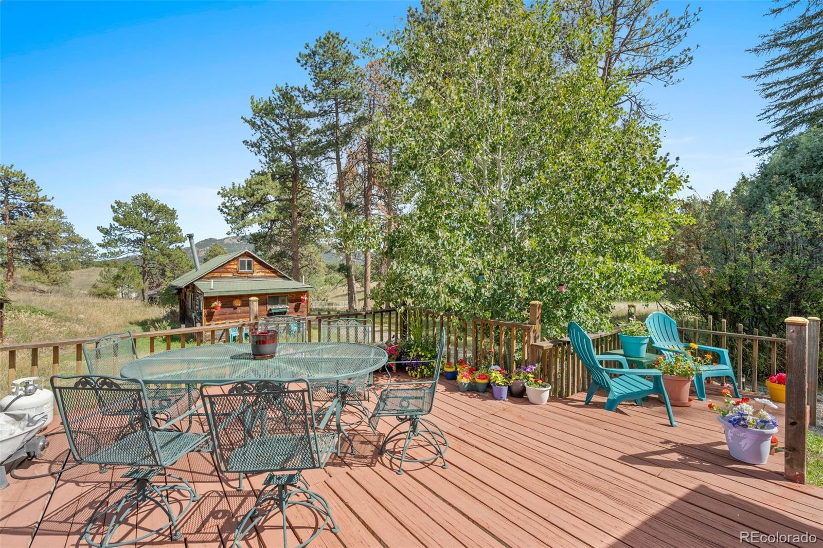 MLS Image #17 for 21555  spring creek road,buffalo creek, Colorado