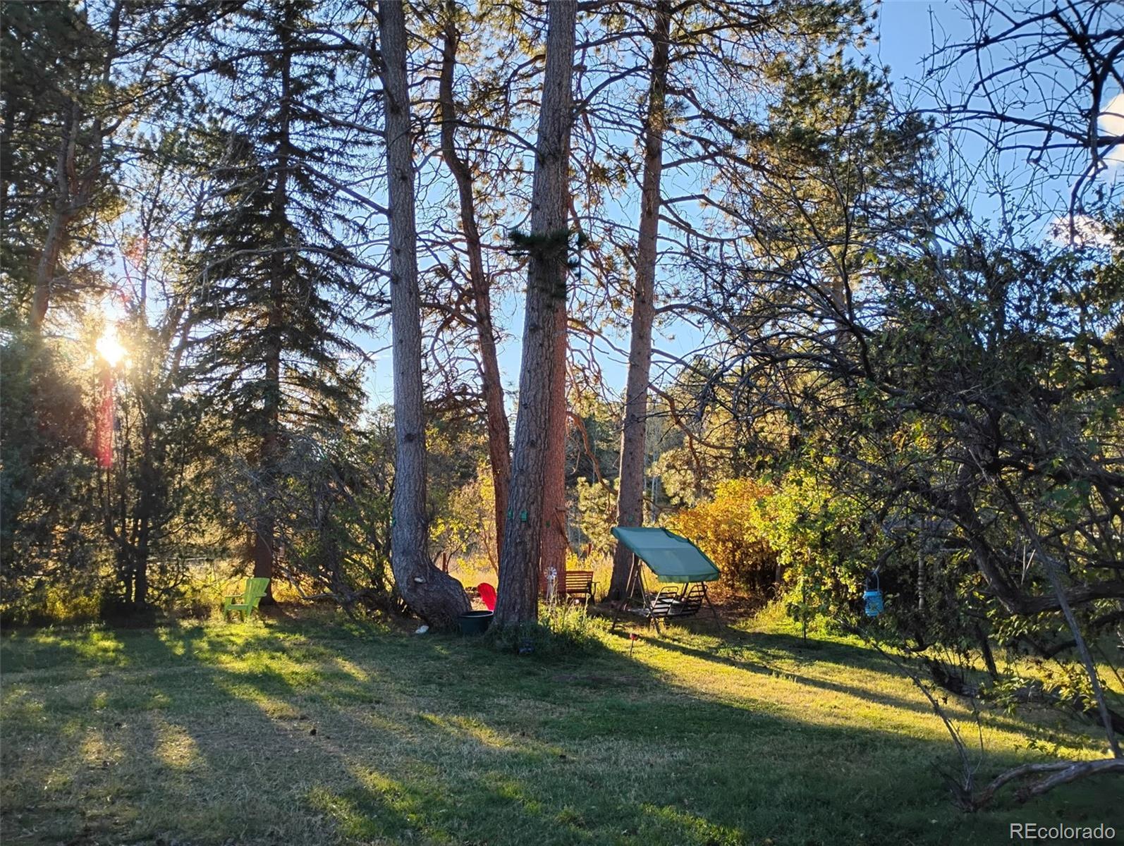 MLS Image #18 for 21555  spring creek road,buffalo creek, Colorado
