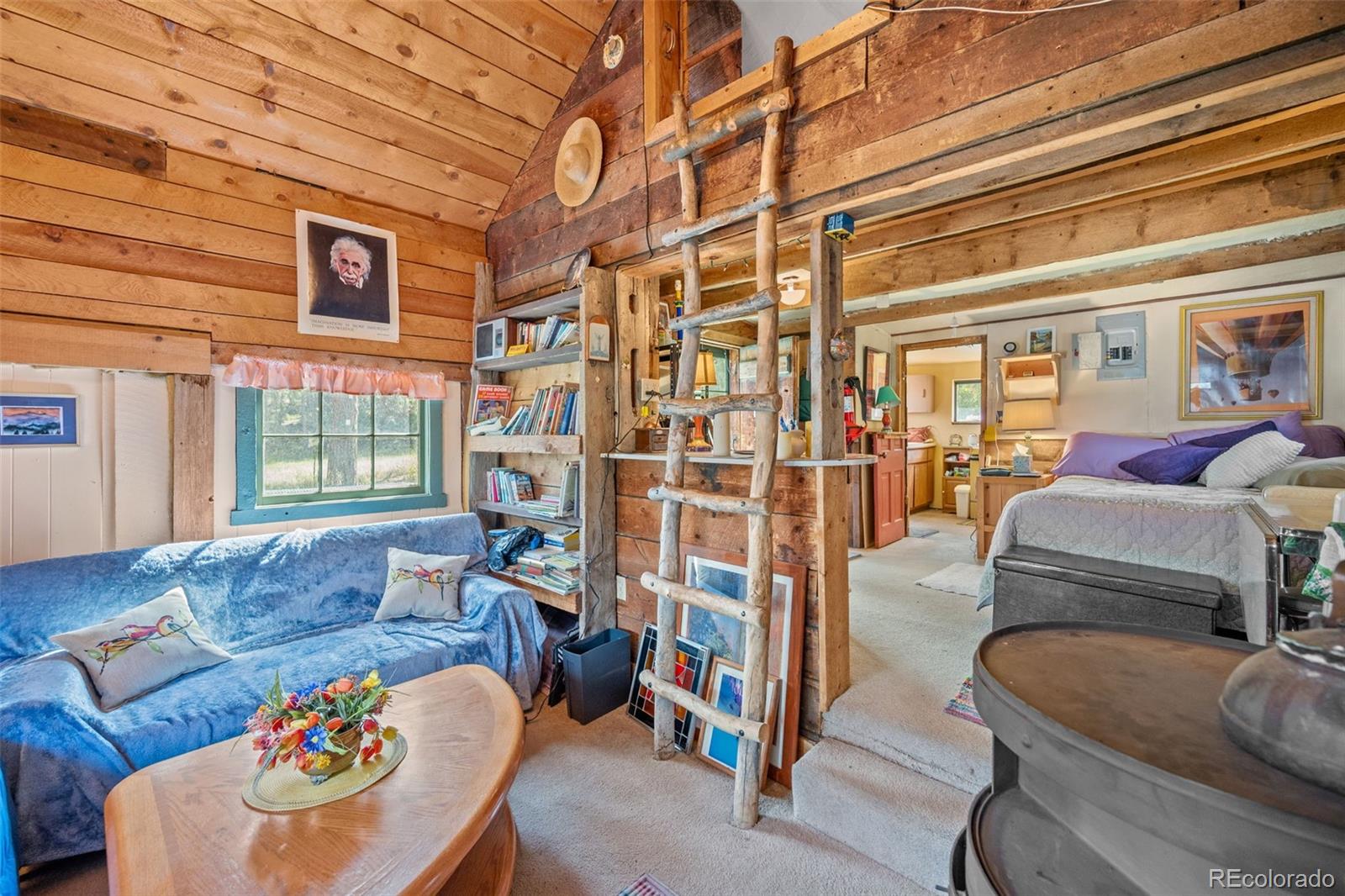 MLS Image #21 for 21555  spring creek road,buffalo creek, Colorado