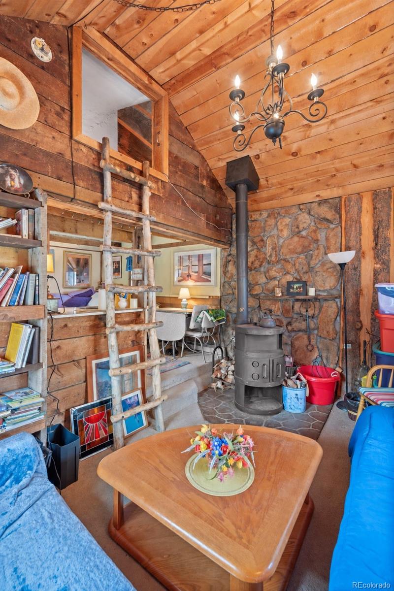 MLS Image #22 for 21555  spring creek road,buffalo creek, Colorado