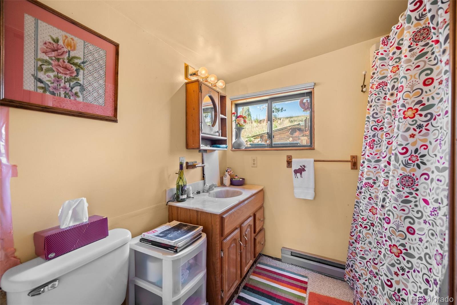 MLS Image #24 for 21555  spring creek road,buffalo creek, Colorado