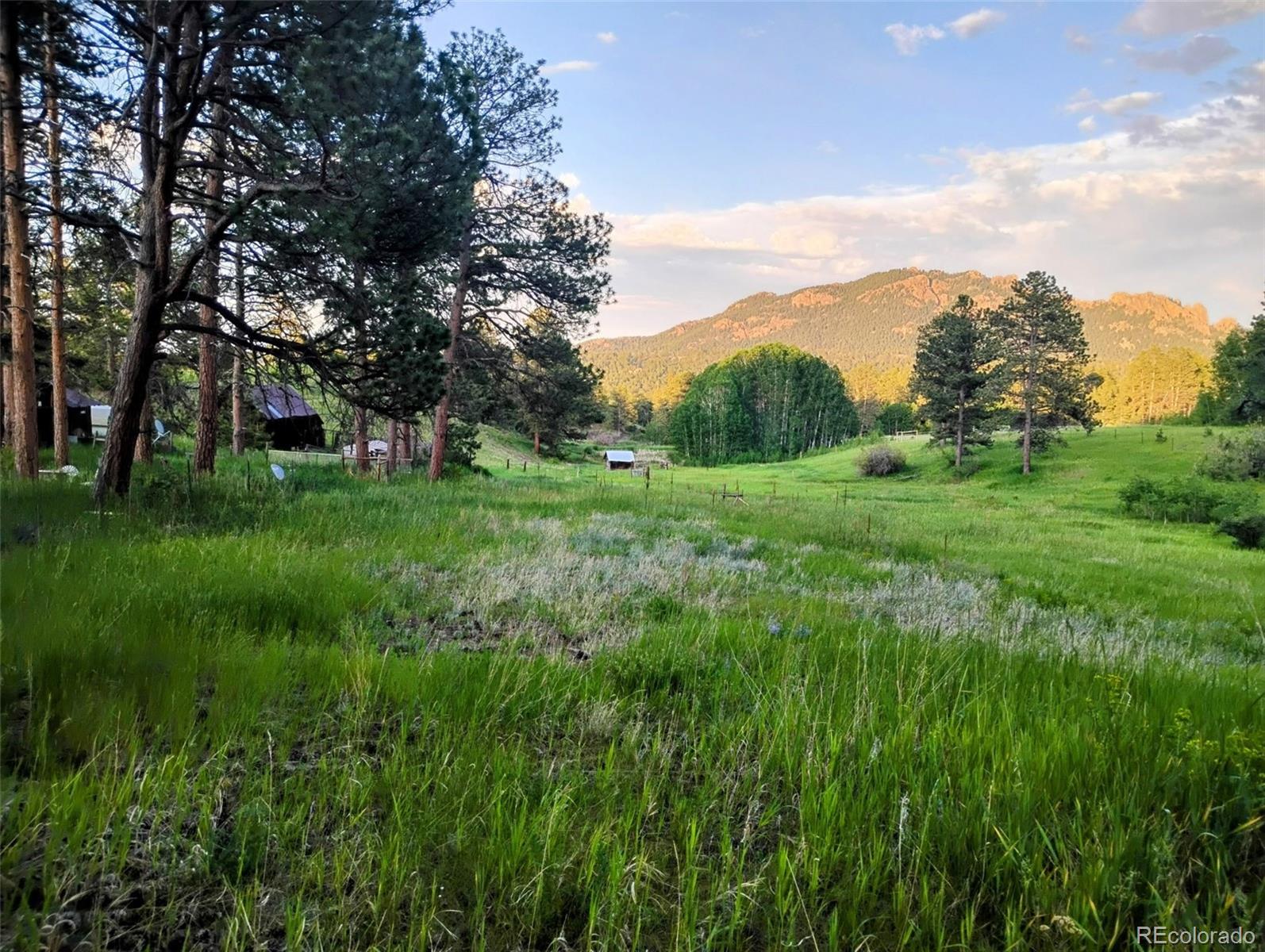 MLS Image #26 for 21555  spring creek road,buffalo creek, Colorado