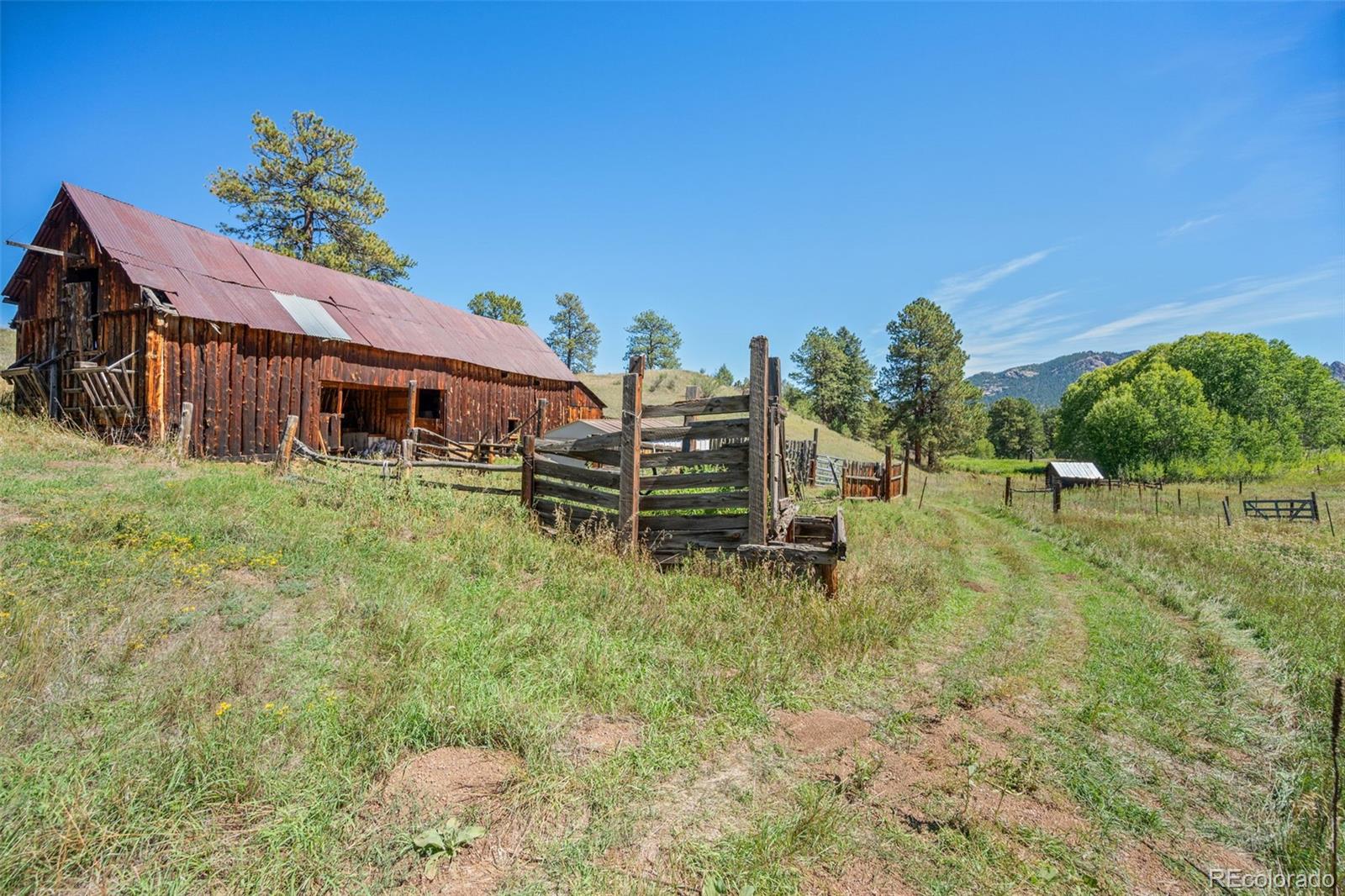 MLS Image #27 for 21555  spring creek road,buffalo creek, Colorado