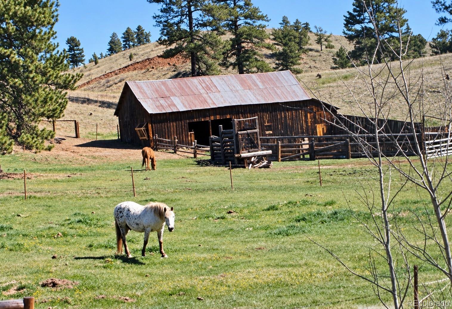 MLS Image #29 for 21555  spring creek road,buffalo creek, Colorado