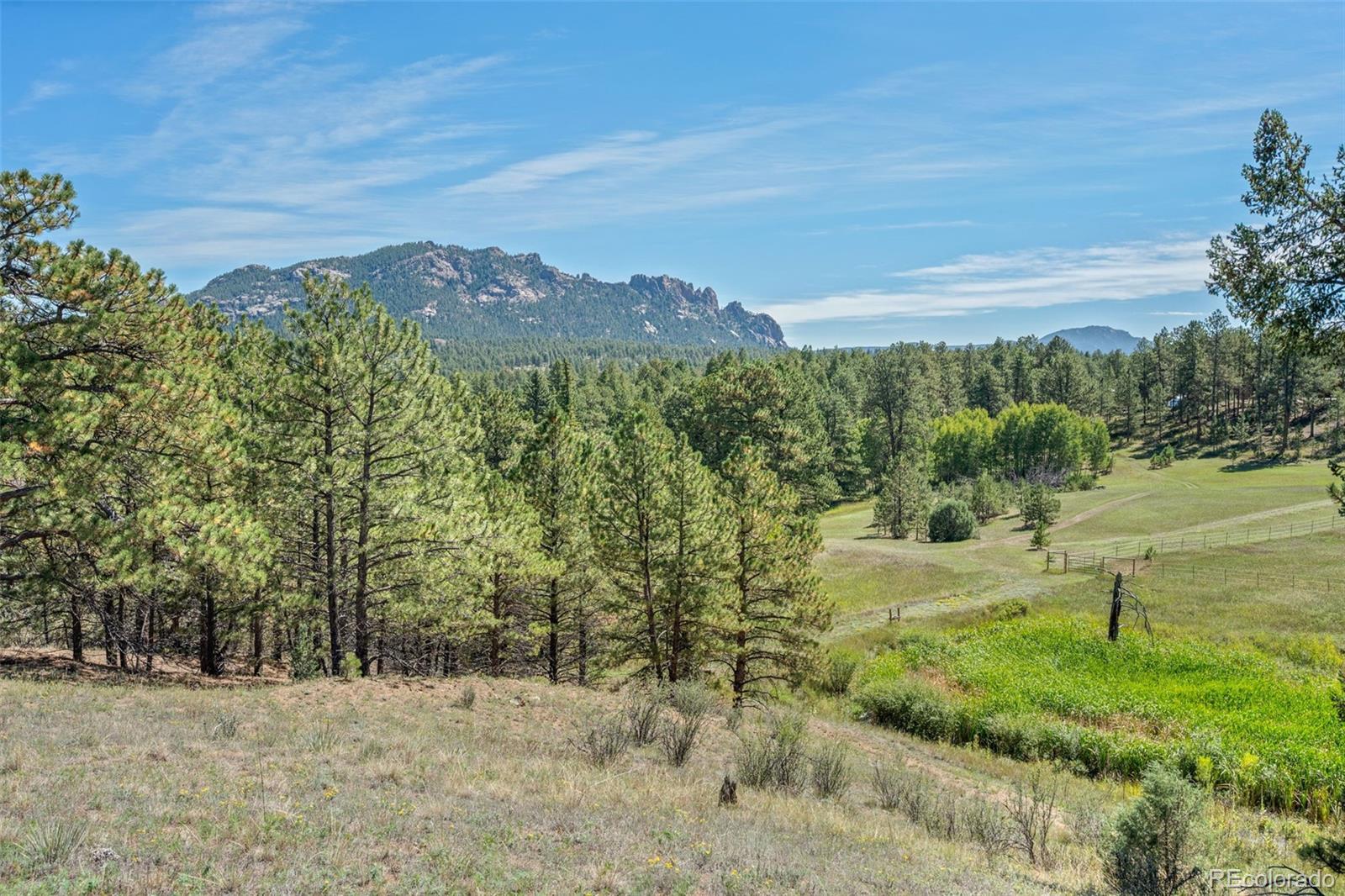 MLS Image #3 for 21555  spring creek road,buffalo creek, Colorado