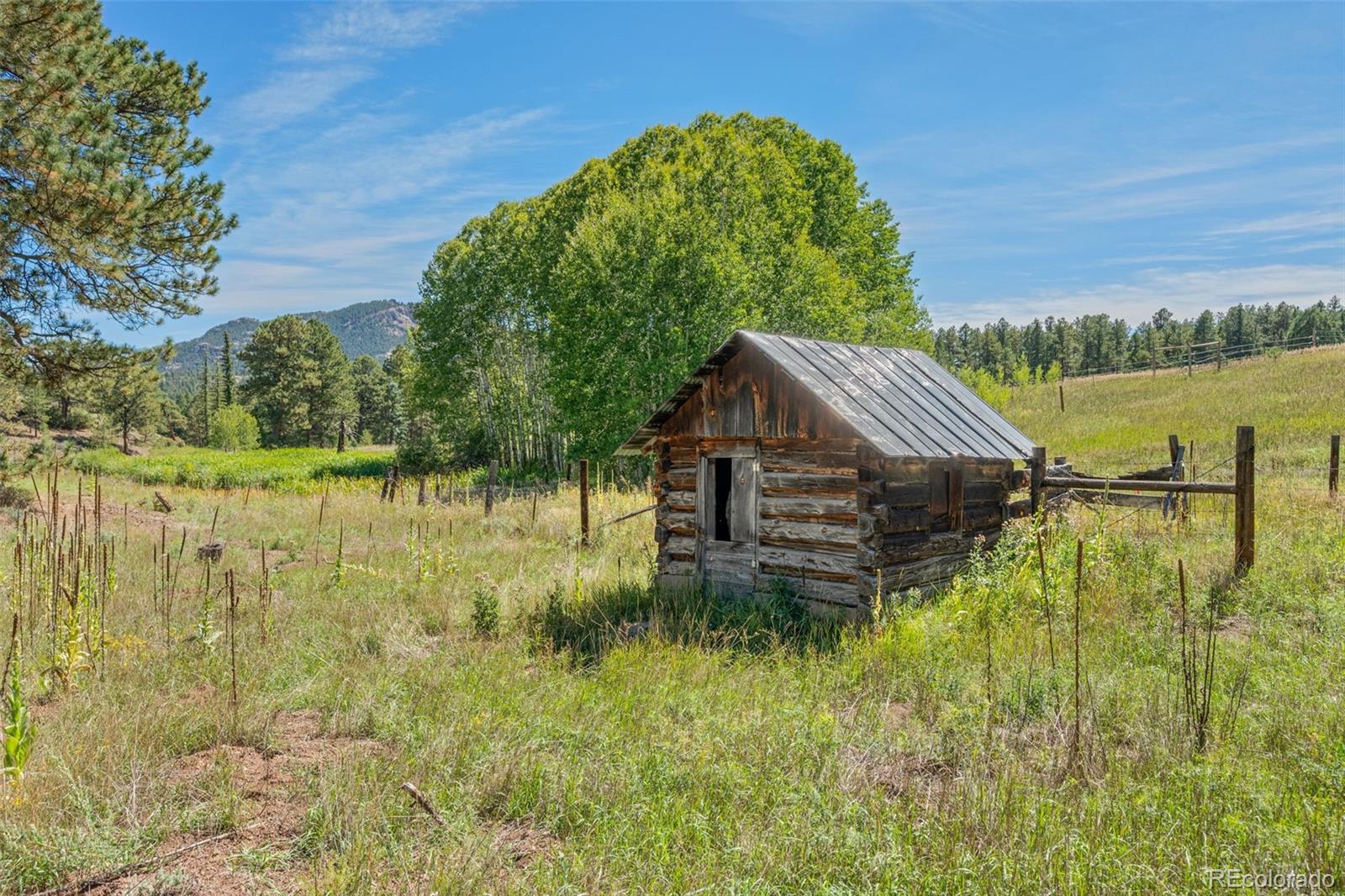 MLS Image #30 for 21555  spring creek road,buffalo creek, Colorado