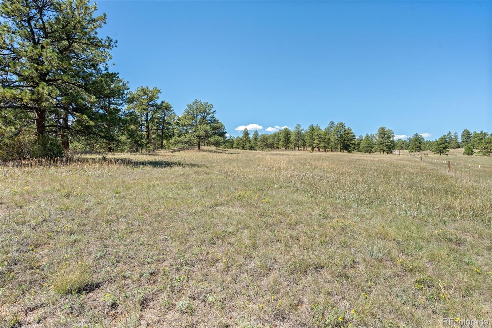 MLS Image #31 for 21555  spring creek road,buffalo creek, Colorado