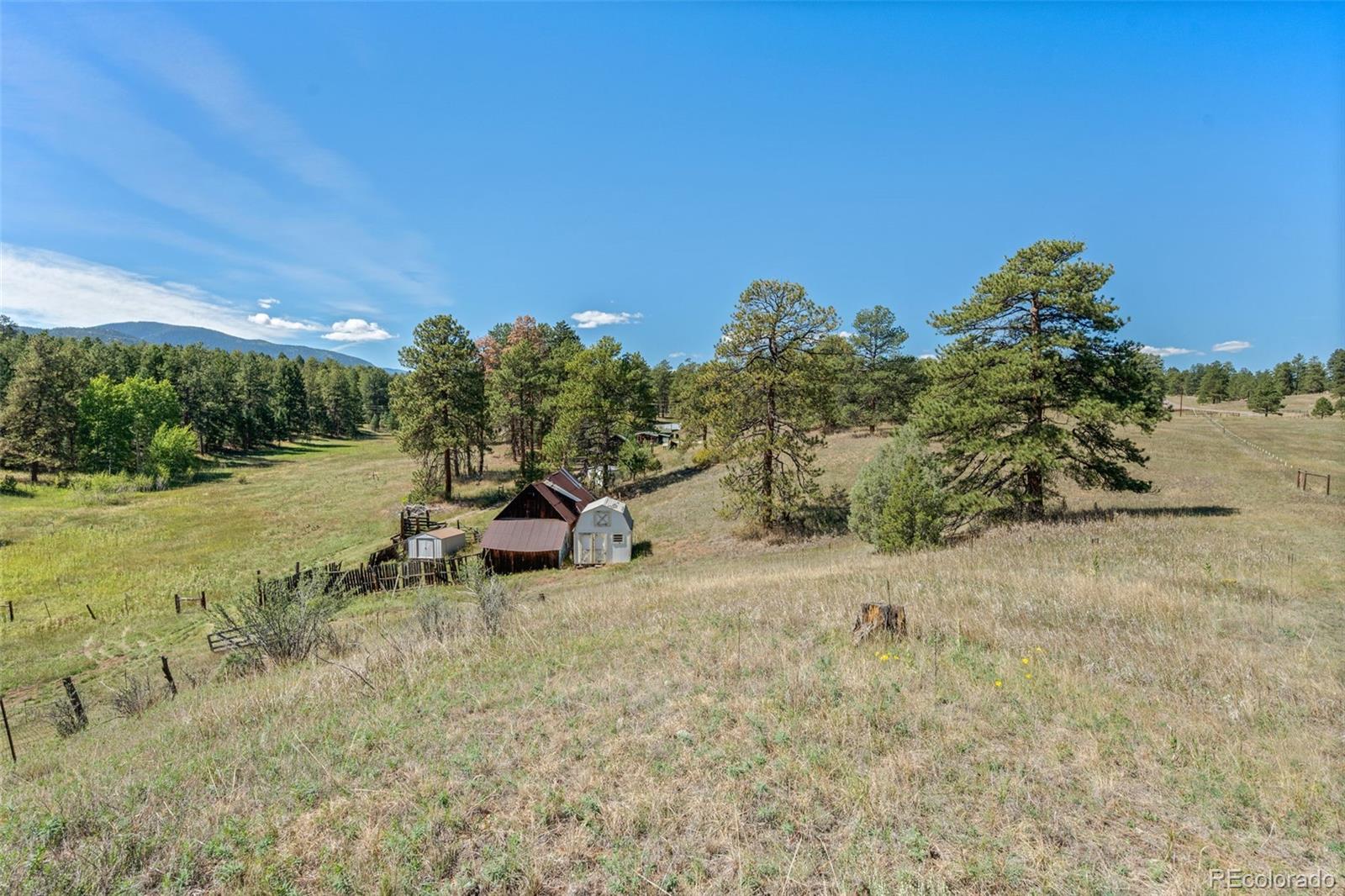 MLS Image #32 for 21555  spring creek road,buffalo creek, Colorado